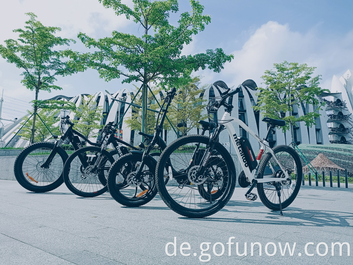 2022 Langstrecken -Zentralmotor 36V 350W Elektrisches Mountainbike Wanderer Großhandel Vollaufhängung Elektrisches Fahrrad